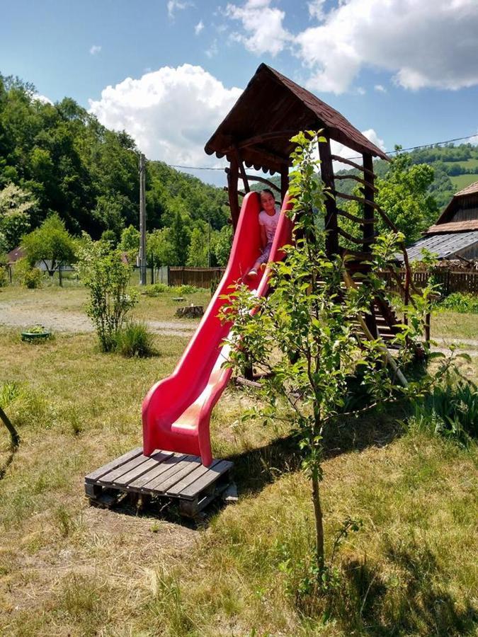 Cabana Iubu Valea Drăganului 外观 照片