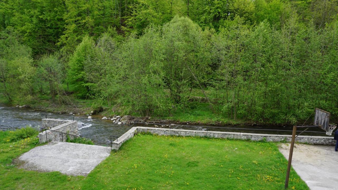 Valea DrăganuluiCabana Iubu别墅 外观 照片